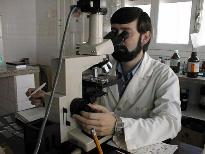 Trabajo de investigaci�n